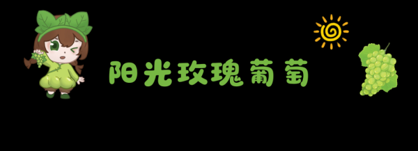 炒股配资论坛 圆碌碌、胀卜卜、甜丝丝……它们将承包你的夏日多巴胺