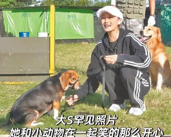 配资炒股配资官网 每周梦到姐姐4次！小S用微信“隔空对话”看哭网友